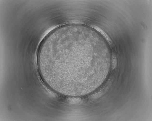 X0000114520886200911161314