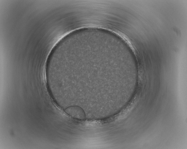 X0000114520887200911161314