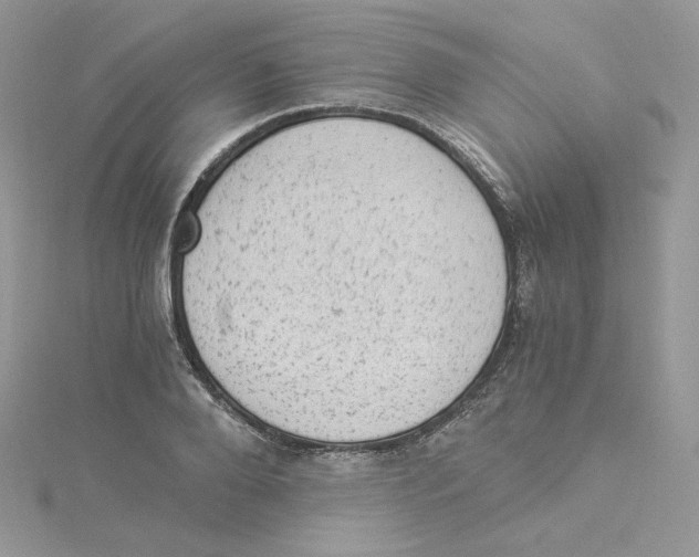 X0000114520888200911161314