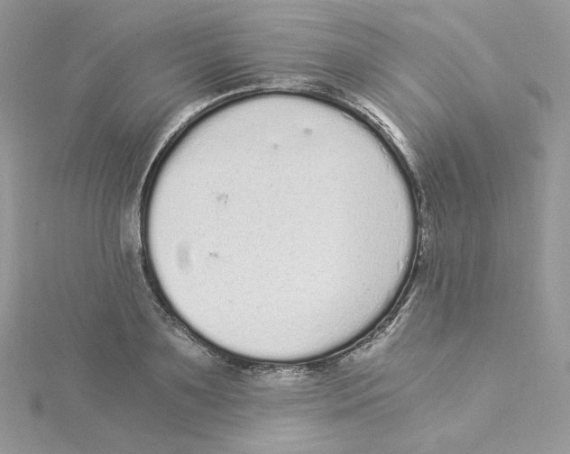 X0000114520891200911161314