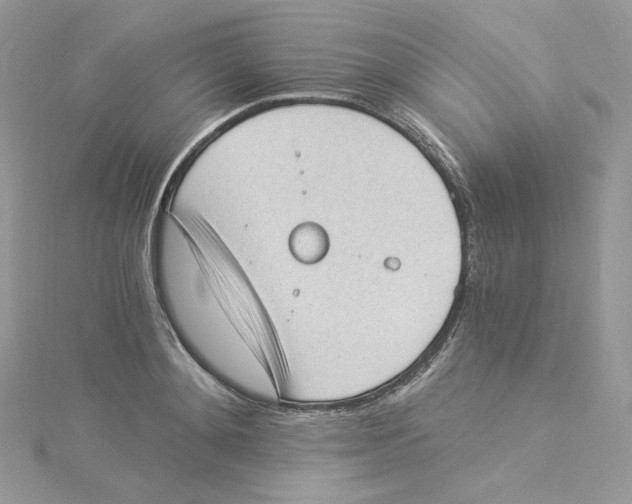 X0000114520892200911161314