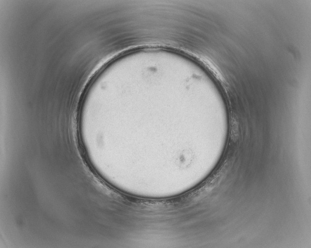 X0000114520895200911161314