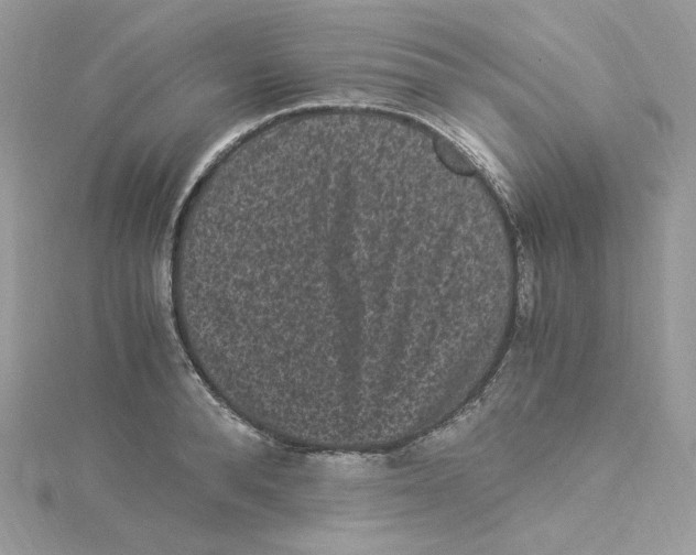 X0000114520896200911161314