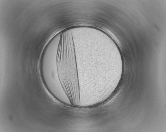 X0000114520901200911161314