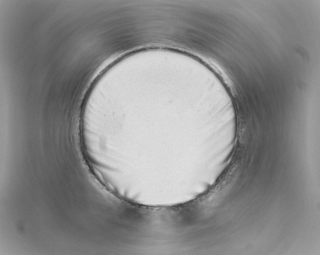 X0000114520903200911161314