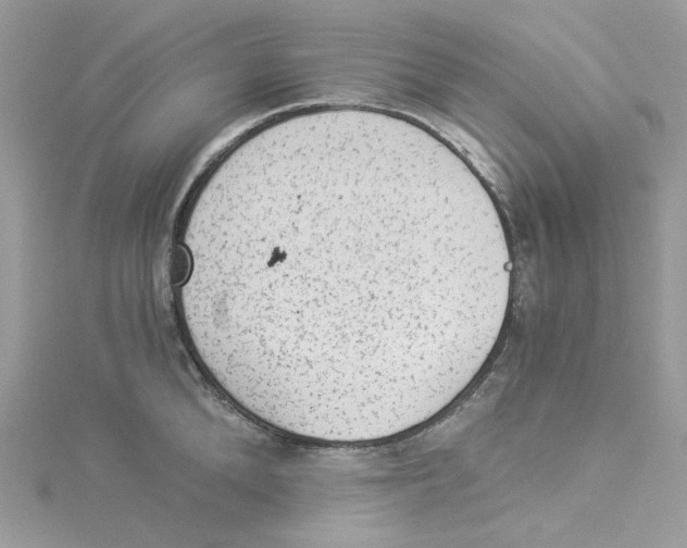 X0000114520904200911161314