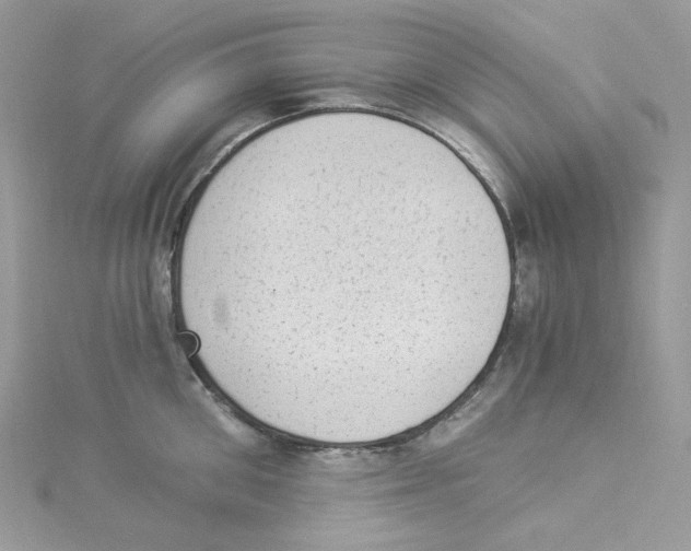 X0000114520906200911161314