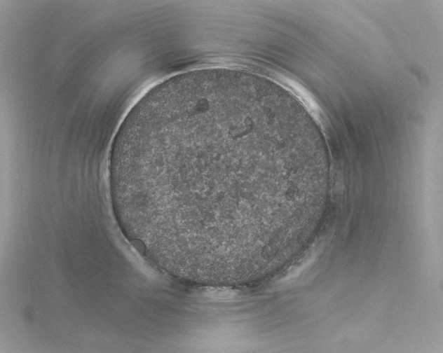 X0000114520907200911161314