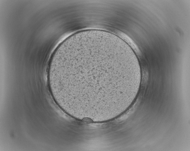 X0000114520908200911161314