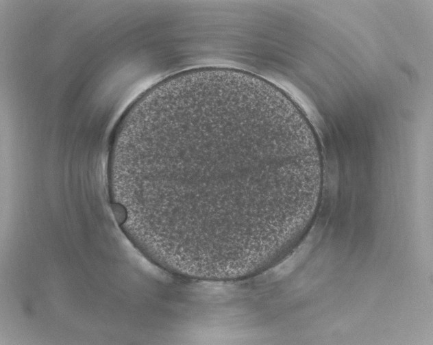 X0000114520910200911161314