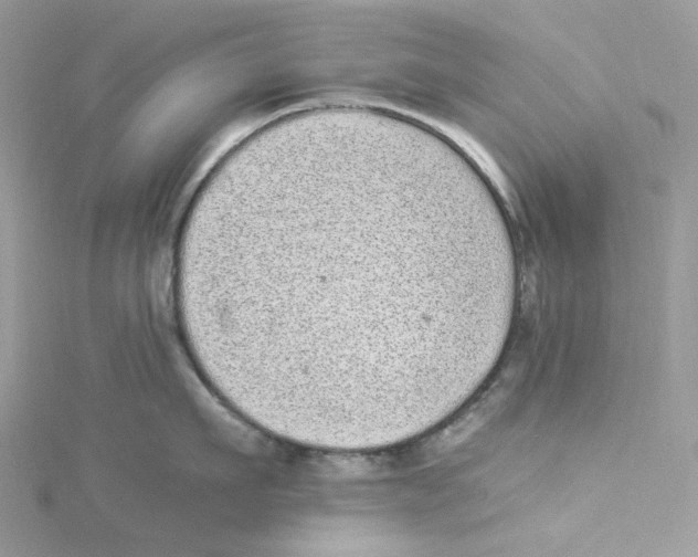 X0000114520911200911161314