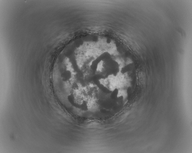 X0000114520913200911161313