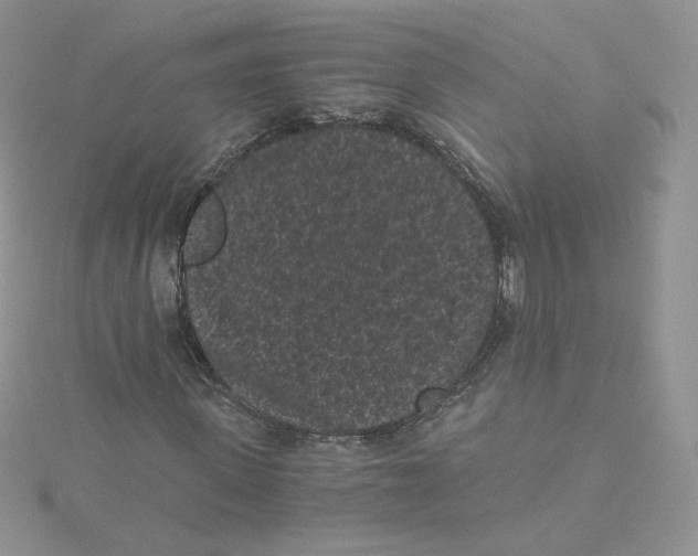 X0000114520915200911161313