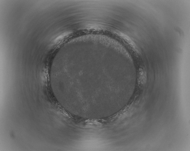 X0000114520918200911161313