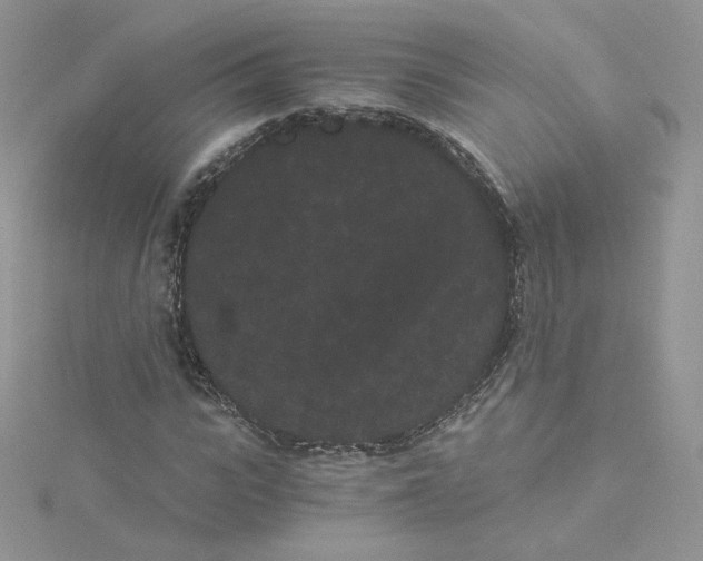 X0000114520919200911161313