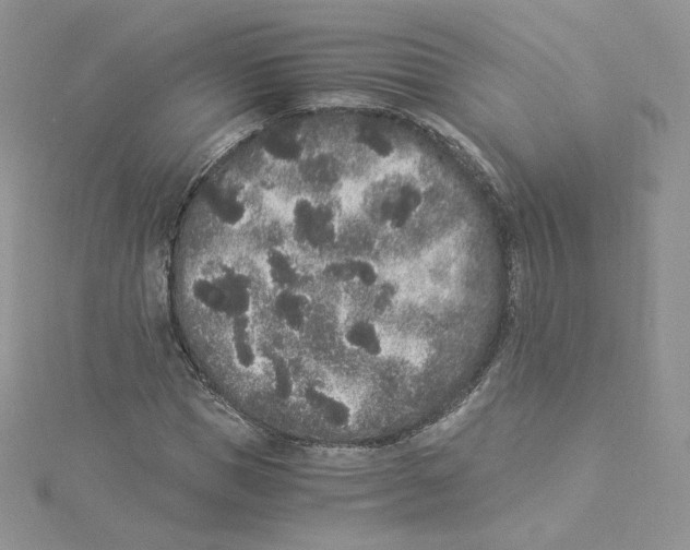 X0000114520921200911161313