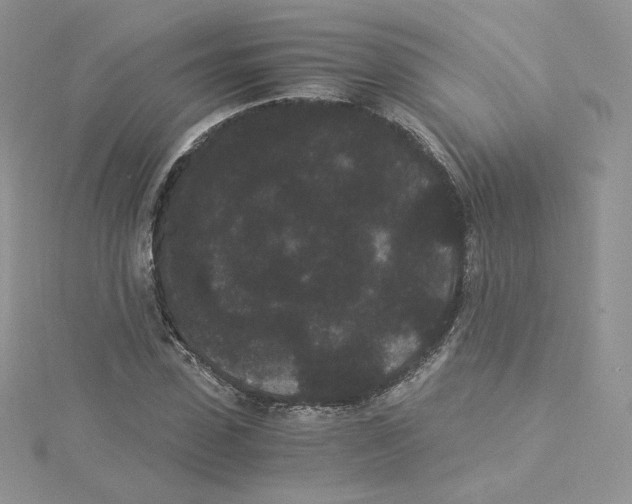 X0000114520923200911161313