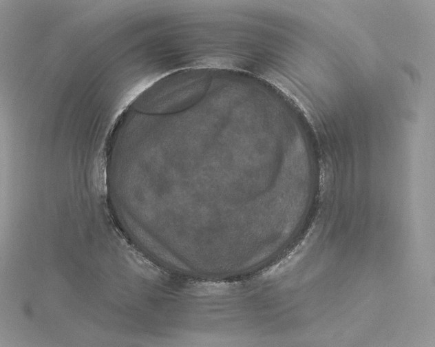 X0000114520925200911161313