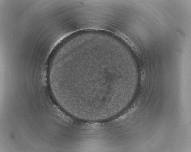 X0000114520926200911161313