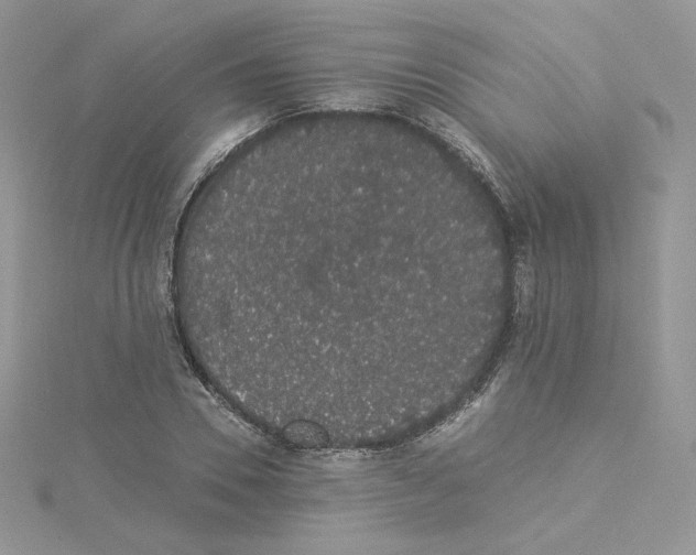 X0000114520930200911161313