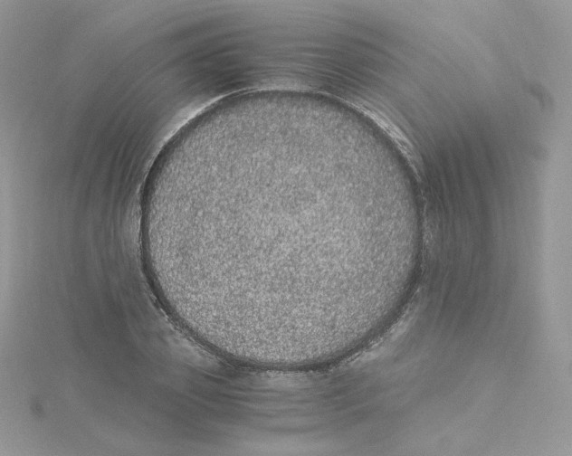 X0000114520933200911161313