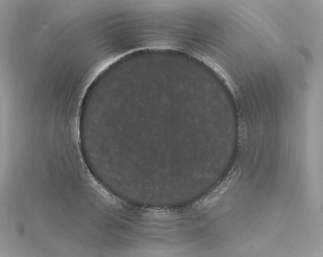 X0000114520935200911161313