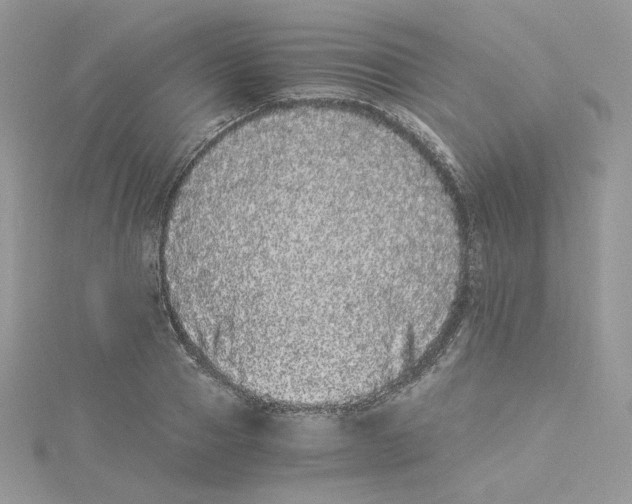 X0000114520937200911161313