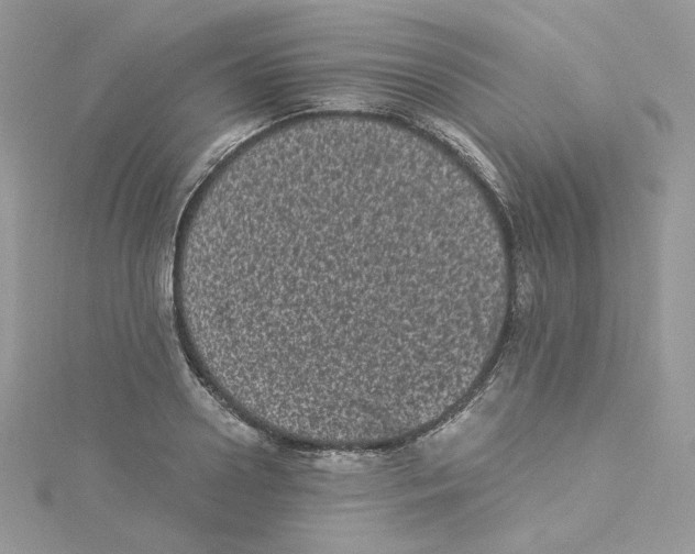 X0000114520938200911161313