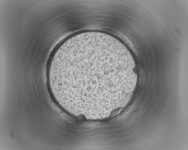 X0000114520939200911161313