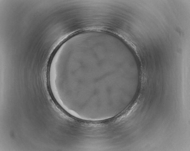 X0000114520941200911161313