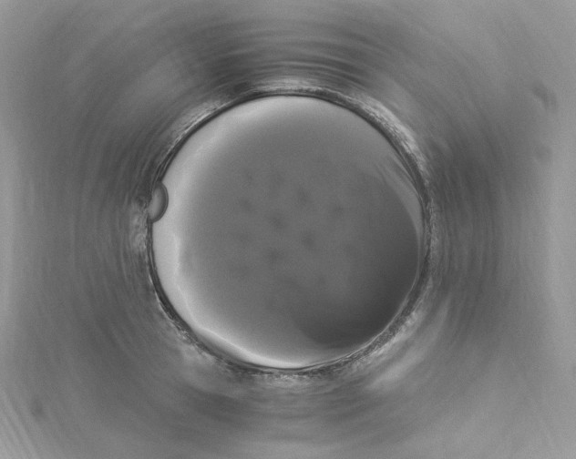 X0000114520945200911161313