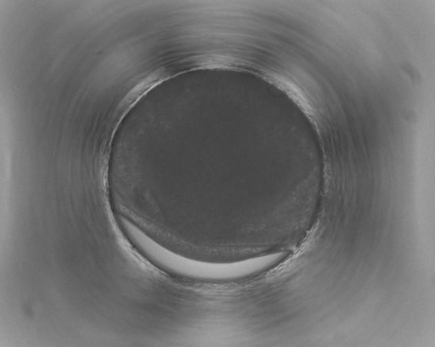 X0000114520946200911161313