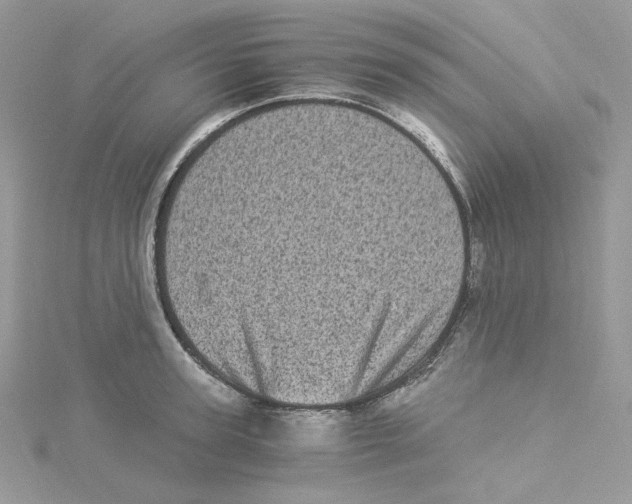 X0000114520947200911161313