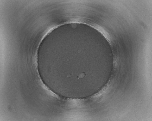 X0000114520950200911161313