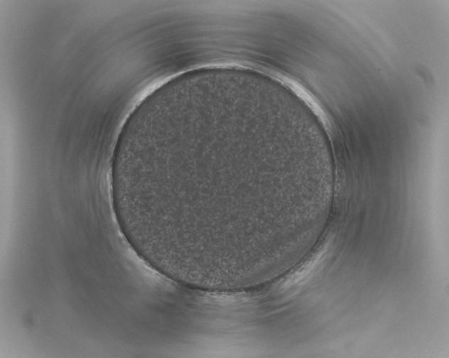 X0000114520951200911161313