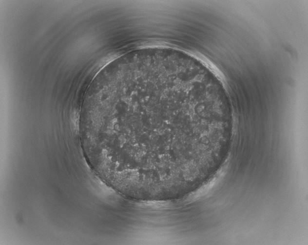 X0000114520953200911161313