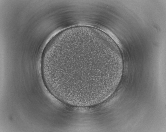 X0000114520955200911161313