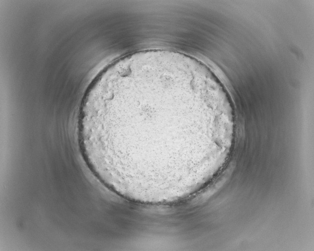 X0000114520957200911161313