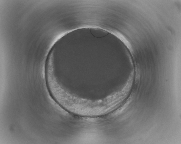 X0000114520958200911161313