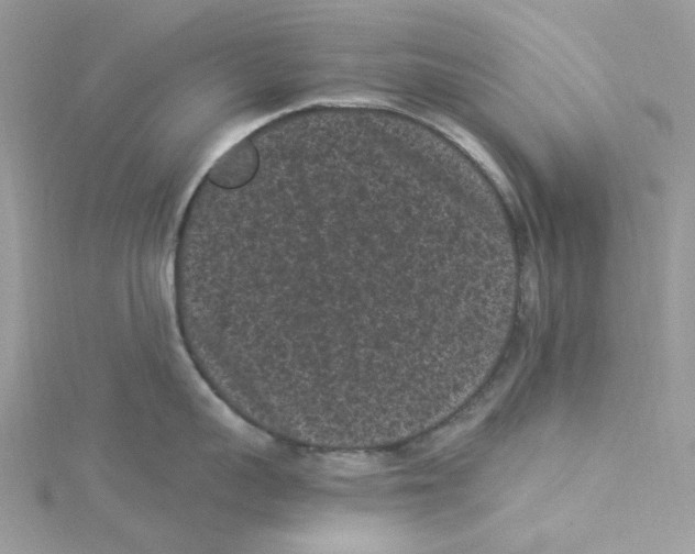 X0000114520959200911161313