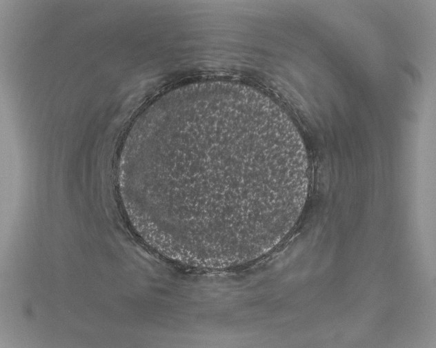 X0000114520961200911161313