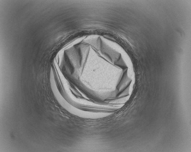 X0000114520965200911161313