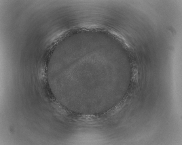 X0000114520966200911161313