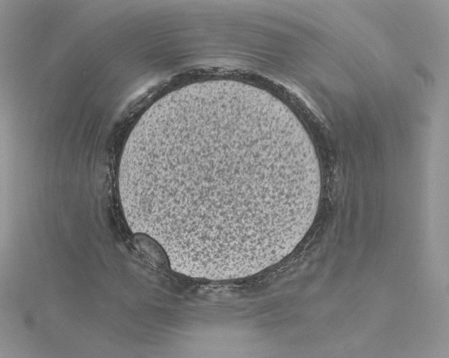 X0000114520967200911161313