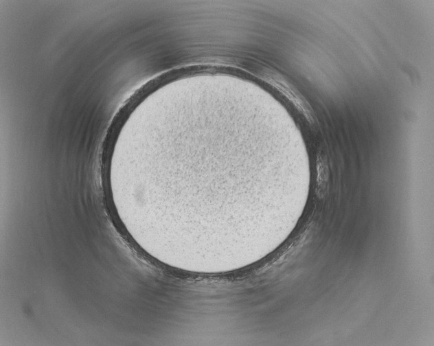 X0000114520972200911161313