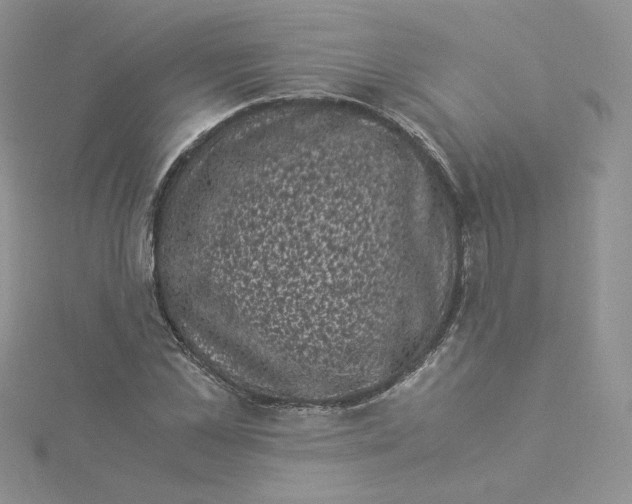 X0000114520973200911161313