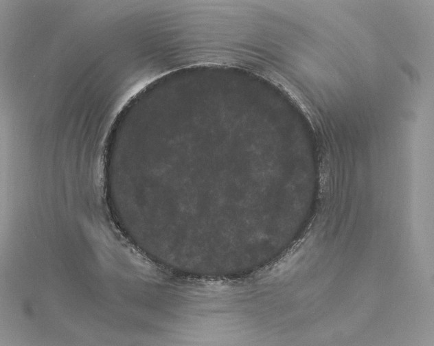 X0000114520975200911161313