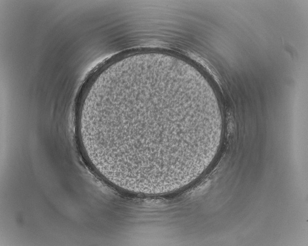 X0000114520979200911161313