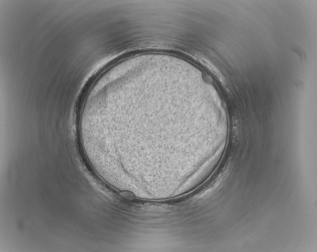 X0000114520981200911161313