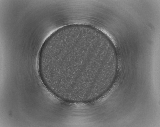 X0000114520983200911161313